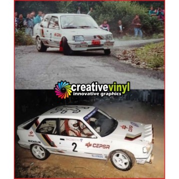 Peugeot 309 San Froilan Rally 1993 Graphics Kit