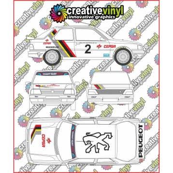 Peugeot 309 San Froilan Rally 1993 Graphics Kit