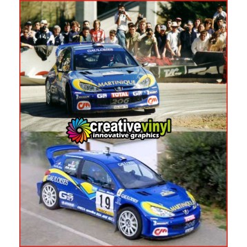Peugeot 206 Catalunya 2001 Full Rally Graphics Kit