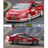Peugeot 307cc 2005 WRC Full Graphics Kit